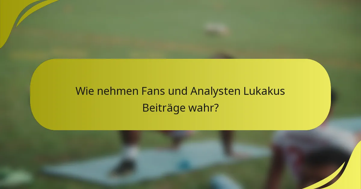 Wie nehmen Fans und Analysten Lukakus Beiträge wahr?